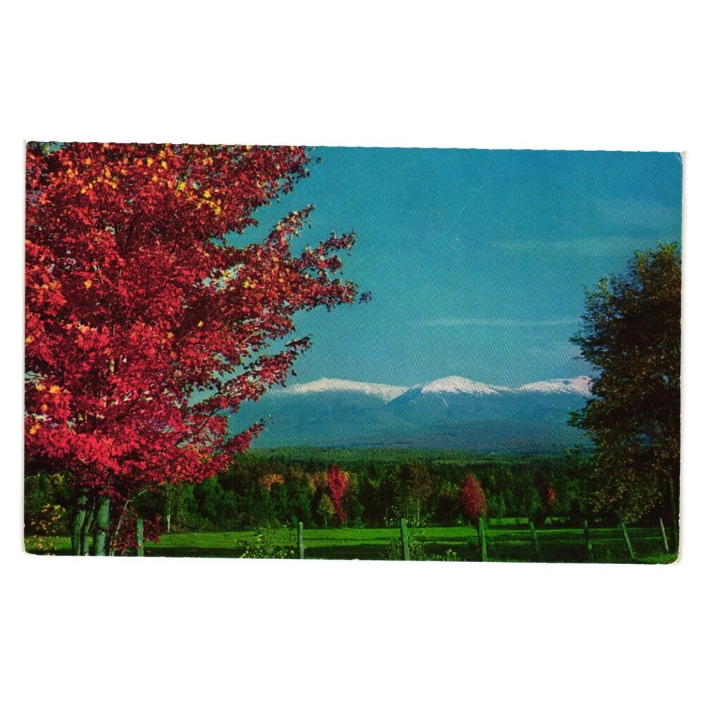 Presidential Range White Mountains Autumn Postcard Mike Roberts Bromley Vintage
